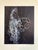 M. Peter Piening was born on March 14, 1908 in Grabow, Germany. He began his education at a private school in Italy,...