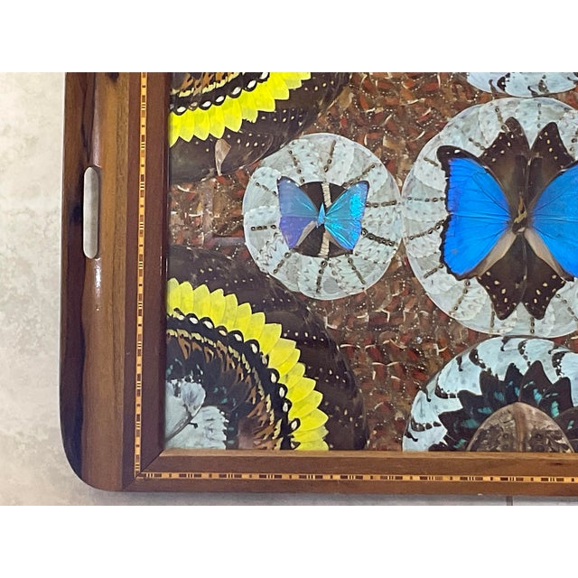 Large Butterfly Tray 29”.5 X 18” For Sale - Image 11 of 12