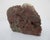 Stone Chinese Red Shoushan Double Dragon Sculpture Carving For Sale - Image 7 of 8