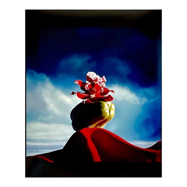 Circa 1985 Horst P. Horst Color C-Print Photo of Flowers Hand Signed Horst For Sale