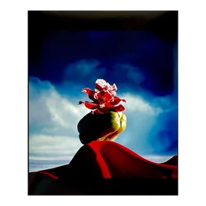 Circa 1985 Horst P. Horst Color C-Print Photo of Flowers Hand Signed Horst