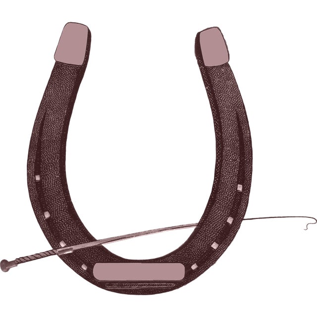 Horseshoe Linen Pillow 20" x 20" Corded finish Hidden zipper in back Feather down fill There are conflicting thoughts...