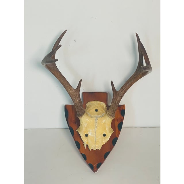 20 th Century vintage 8 paints deer antlers trophy mounted on a profiled handcarved wood board. For rustic chalet organic...
