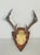 20 th Century vintage 8 paints deer antlers trophy mounted on a profiled handcarved wood board. For rustic chalet organic...
