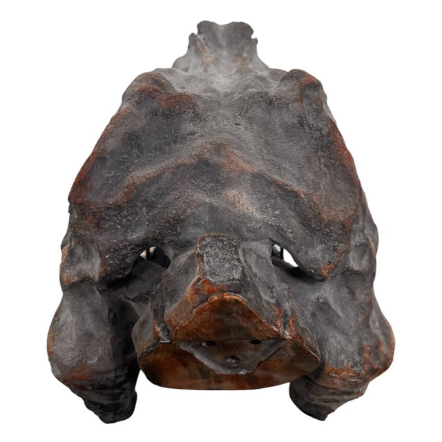 Plastic Late 20th Century Tyrannosaurus Rex Skull Sculpture For Sale - Image 7 of 13
