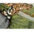 Galerie Shabab Collection Mid-20th Century Handmade Russian Bessarabian Pictorial Tiger Accent Rug For Sale - Image 10 of 10
