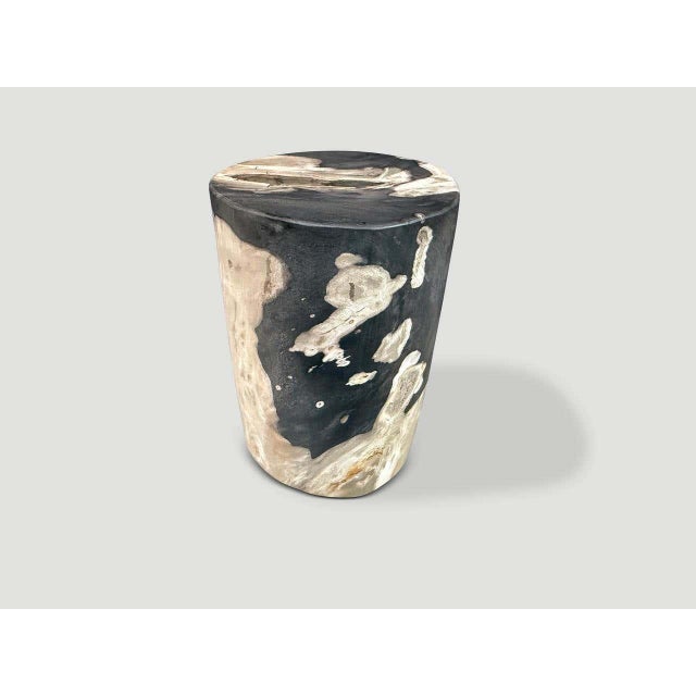 2010s Andrianna Shamaris Modern Organic Petrified Wood Side Table For Sale - Image 5 of 5