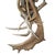 Pair of Fallow Deer Antler Sconces For Sale - Image 12 of 13