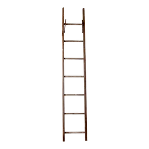 Antique Picking Ladder