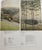 Pedro Friedeberg Friedrich Wilhelm Bogler, Trees Knüll, 1920s, Watercolor For Sale - Image 4 of 13