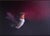 This oil painting captures a hummingbird in mid-flight, rendered with meticulous attention to detail. The rich, dark...