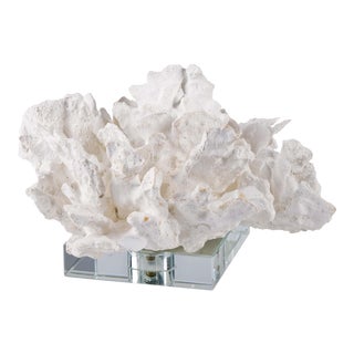 Regina Andrew Flower Coral On Crystal Base in White For Sale