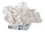 Regina Andrew Flower Coral On Crystal Base in White For Sale