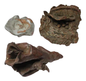 Collection of Three Studio Ceramic Shells / Fragments