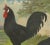The distinctive la flèche chicken a rare 19th century poultry lithograph this remarkable 19th century chromolithograph...