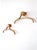 Coat Hangers by Roald Steen Hansen for World Pictures Copenhagen, 1970s For Sale - Image 6 of 6