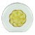 Artist Signed Vintage Opalescent Golden Yellow Double Floral Design Studio Art Glass Paperweight For Sale