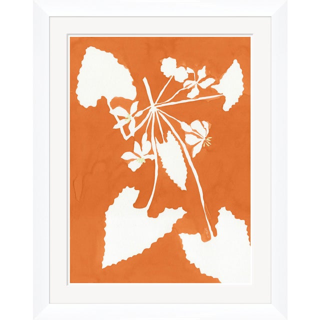 Contemporary Marigold Pixie and Alocasia by Susan Hable For Sale - Image 3 of 4