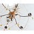 18th Century Italian 18th Century Giltwood & Crystal Chandelier For Sale - Image 5 of 17
