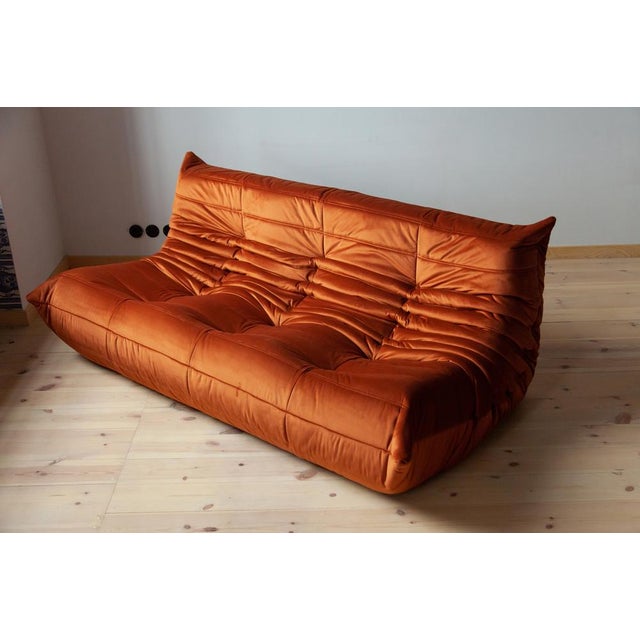 Amber Togo Three-Seater Sofa by Michel Ducaroy for Ligne Roset, 1970 For Sale - Image 3 of 8