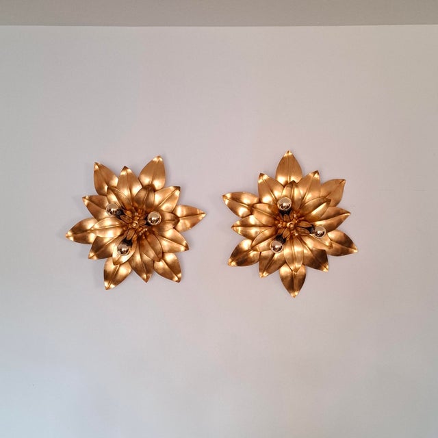 A beautiful set of two extra-large, gold-plated Florentine-style wall or ceiling lights from the Kögl era of the 1970s....