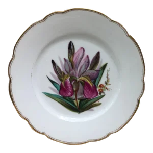 Mid 19th Century French Porcelain Purple Iris Plate