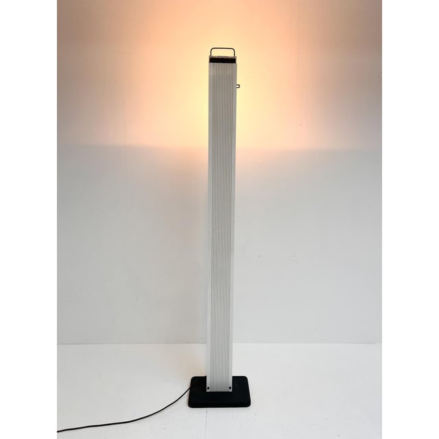 Zagar Floor Lamp by Sergio Carpani for Stilnovo, 1980s For Sale - Image 9 of 17
