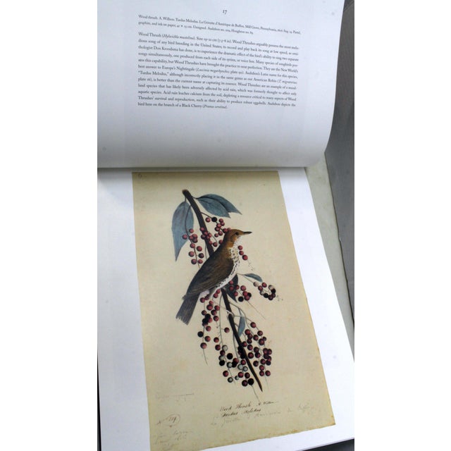 Mid-Century Modern A Flight of 3 Elegant Bird Books – Audubon, Fuentes, Peterson –Oversized Illustrated Ornithology Editions For Sale - Image 3 of 15