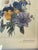Vintage Botanical Print Bouquet Anemones P.FRedoute For Sale - Image 4 of 4