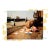 Martin Parr the Last Resort Official Exhibition Poster For Sale