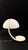 Metal Serpente Lamp by Elio Martinelli for Martinelli Luce, 1960s For Sale - Image 7 of 15
