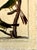 Paper 18th-Century Pair of French Hand-Colored Copperplate Engravings of Exotic Birds, by François-Nicolas Martinet For Sale - Image 7 of 18