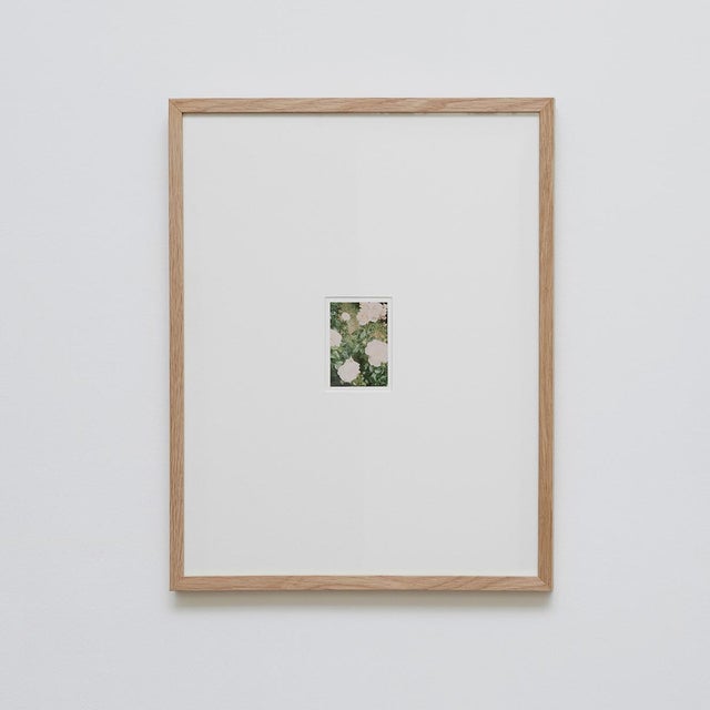 The Rose Garden Prints by David Urbano, 2018, Set of 9 For Sale - Image 9 of 18