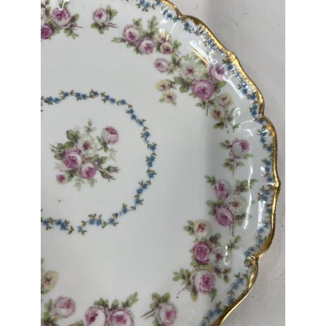 Early 20th Century Antique GDA France Chas Field Haviland W Porcelain Plate For Sale - Image 5 of 11