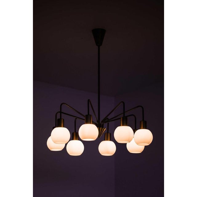 Scandinavian Modern Chandelier in Brass and Opaline Glass, 1950s For Sale - Image 9 of 11