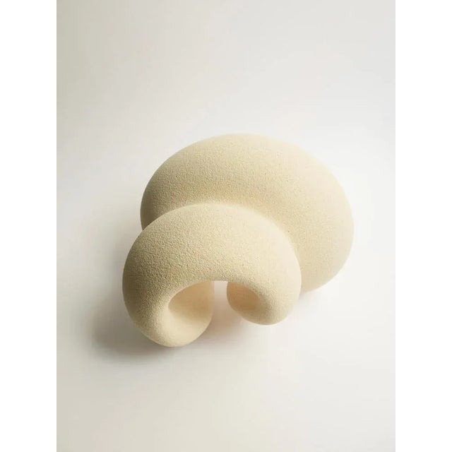 Stoneware clay, body i sculpture by aleksandra krasnopolska dimensions: w 21 x d 14 x h 16 cm materials: stoneware clay....