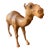 Leather Camel For Sale
