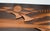 Metal Large Mid-Century Copper Wall Panel with Flying Birds and Sun, 1950s For Sale - Image 7 of 10