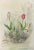 1980s Watercolor Painting - Delicate Tulips For Sale - Image 5 of 5