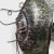 Vintage Industrial Fish Wall Lamp For Sale - Image 11 of 14
