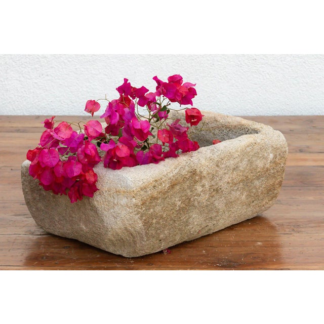 Bastide Basin, French Hand-Carved Stone Planter For Sale In Los Angeles - Image 6 of 6