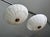 1980s 1980s French Directoire Style Incised Star Alabaster Flush Mounts - Pair For Sale - Image 5 of 18