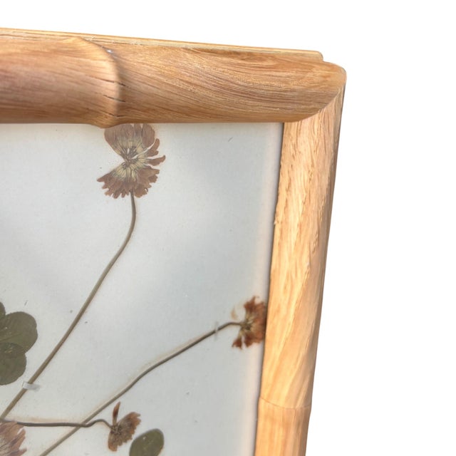 Late 19th Century 1893 Herbarium Botanical Specimens, Set of 12 For Sale - Image 5 of 17