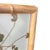Late 19th Century 1893 Herbarium Botanical Specimens, Set of 12 For Sale - Image 5 of 17