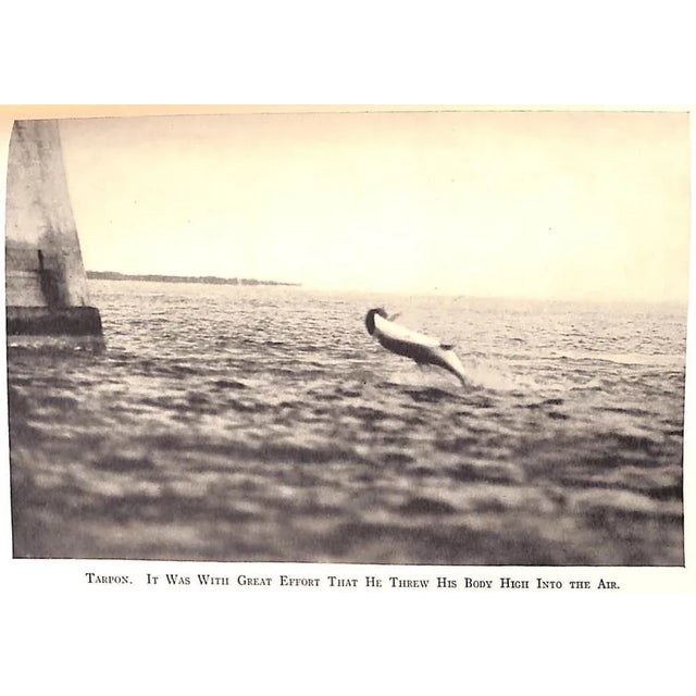 Traditional "Florida Fishing" 1931 Miller, Stewart For Sale - Image 3 of 6