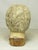 Spanish Colonial (Peruvian) Antique Spanish Colonial Hand Carved Head of a Santo For Sale - Image 4 of 15