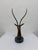 Stone Brass Gazelle Sculpture on Variegated Green Marble Base, 1970s For Sale - Image 7 of 18