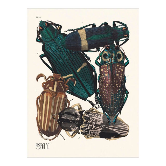 Insects Giclee Reproduction Art Print by Emile-Allain Seguy For Sale