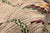 Vintage Azilal Boucherouite Moroccan Rug, 03'07 X 07'01 For Sale In Dallas - Image 6 of 10