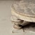 19th Century French Oak Painted Coffee Table For Sale - Image 4 of 7